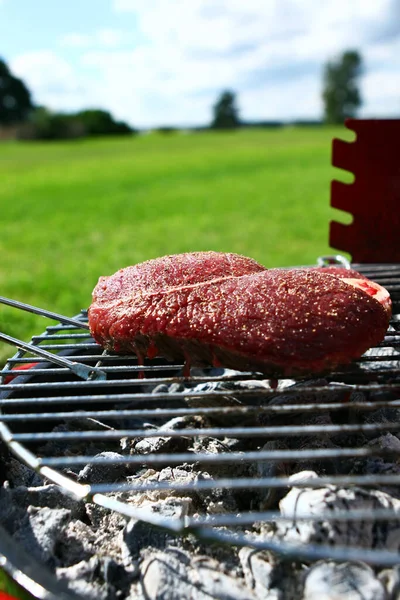 Świeże Bardzo Smaczne Grillowane Steki — Zdjęcie stockowe