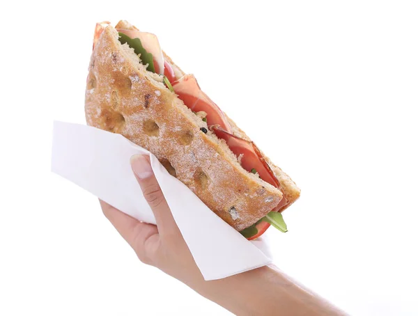 Immagine Gustoso Panino Tenuto Una Mano — Foto Stock