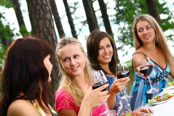 Gruppe Schöner Frauen Trinkt Wein Der Natur — Stockfoto