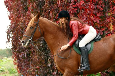Genç kadın ve güzel kahverengi atı