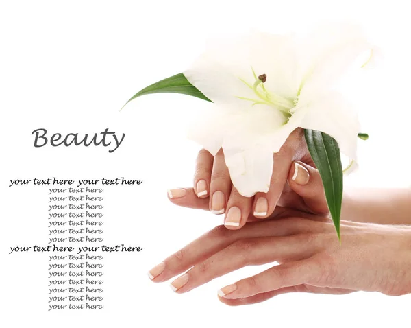 Frauenhände Und Lilienblüte Auf Weißem Hintergrund — Stockfoto