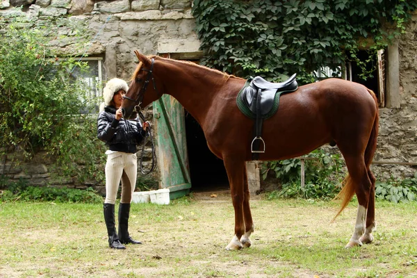 Vrouw Haar Mooie Bruine Paard — Stockfoto