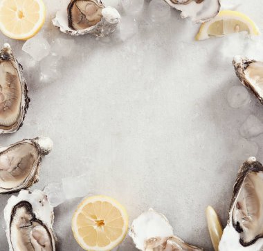 Deniz ürünleri. Limonlu lezzetli istiridye.