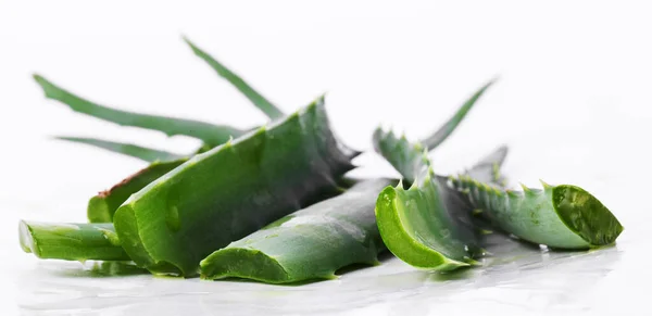 Medicina Aloevera Sfondo Bianco — Foto Stock