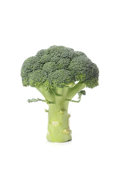 Broccoli Een Witte Achtergrond — Stockfoto