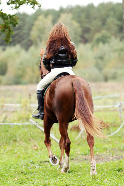 Woman and her beautiful  brown horse