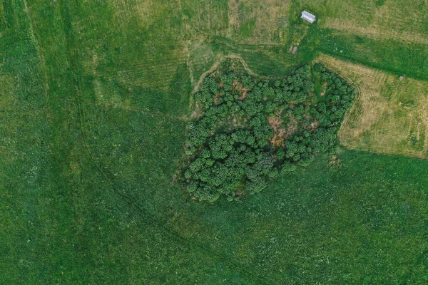 Pohled Ptačího Pohledu Letecký Pohled Pláně Pole — Stock fotografie