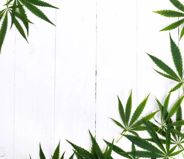 Cannabis Sur Fond Blanc — Photo