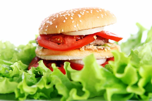 Grote Smakelijke Hamburger Saladebladeren — Stockfoto