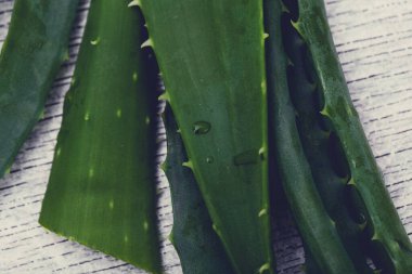 İlaç, spa. Aloe Vera masada.