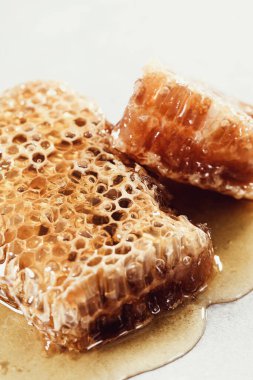 Doğa. Bal peteği masada.