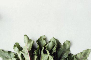 Sebze. Masanın üzerinde pancar kökü