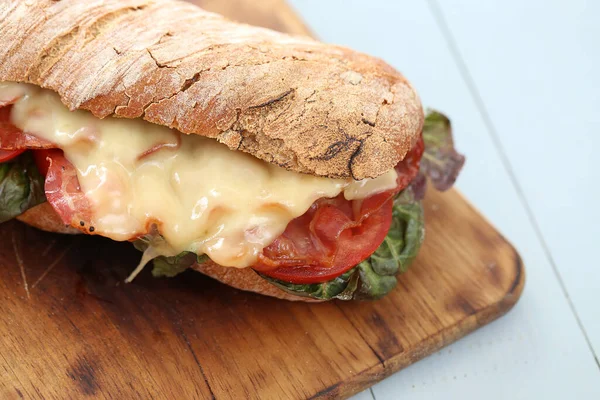 Delicioso Sándwich Largo Con Queso — Foto de Stock