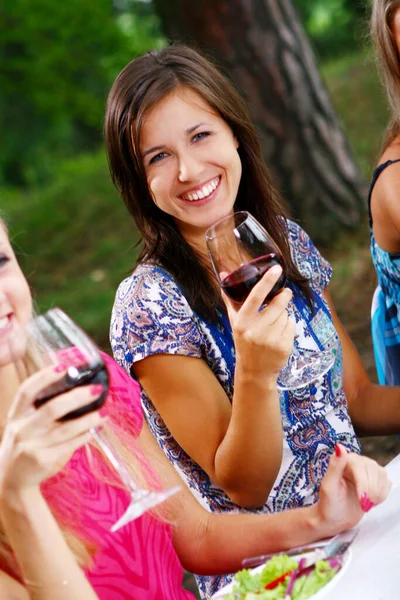 Gruppe Junger Und Schöner Frauen Trinkt Wein Park — Stockfoto