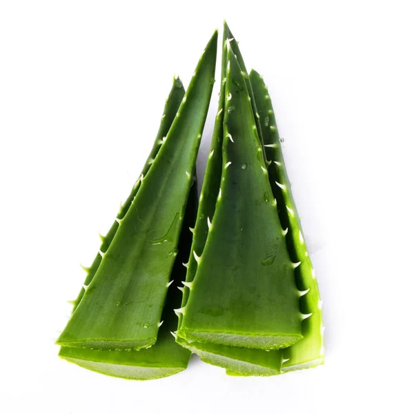 Medicina Aloevera Sfondo Bianco — Foto Stock