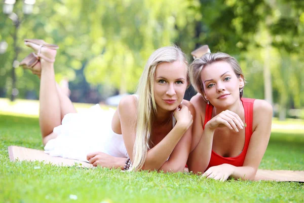 hoş çok eğlendiği parkta iki kız portresi. Onlar konuşuyor, tartışıyor, birbirlerine gülüyor ve gerçekten iyi eğlenceler