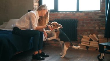 Köpeği evde olan genç bir kadın.