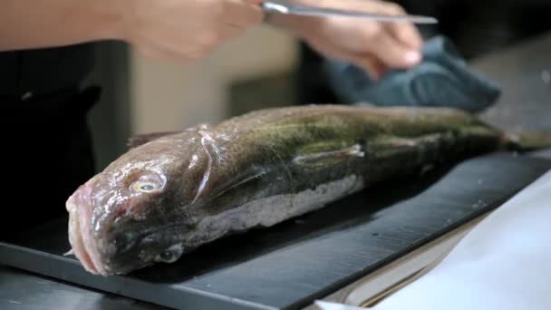 Chef Feminino Cortando Peixe Com Uma Faca Cozinha — Vídeo de Stock