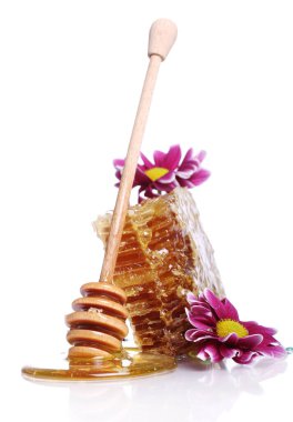 Taze bal peteklerini kapatın.