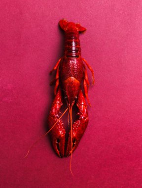 Yiyecekler. Menekşe arkaplanda lezzetli kerevit