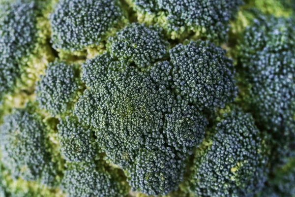 Gemüse Grüner Brokkoli Großaufnahme — Stockfoto