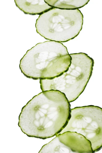 Cucumber White Background — Stock Photo, Image