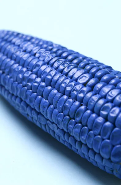 Покрашенная Кукуруза Синем Фоне — стоковое фото