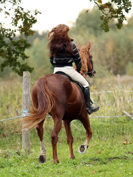 女人和她美丽的棕色马 — 图库照片