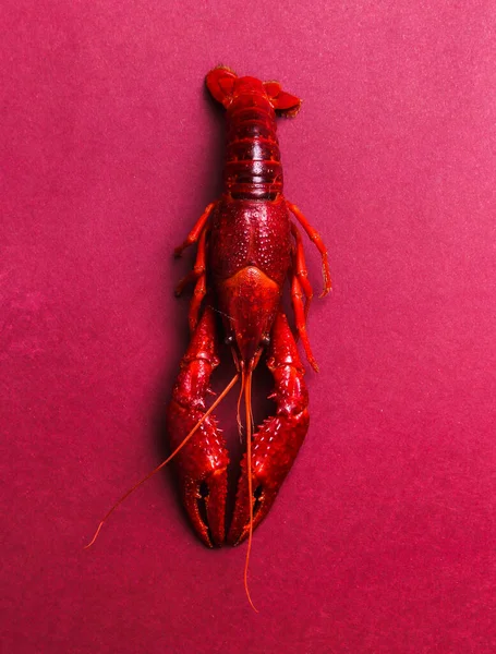 Yiyecekler. Menekşe arkaplanda lezzetli kerevit