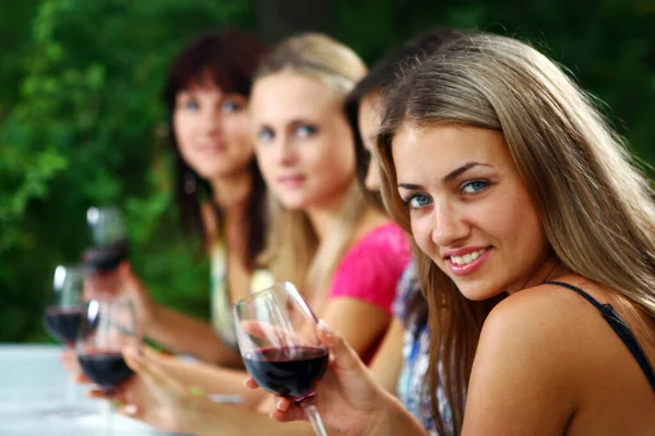 Group Beautiful Women Drinking Wine Nature Stock Picture