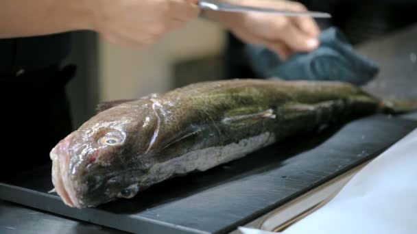 Chef Snijdt Vis Een Restaurant Keuken — Stockvideo