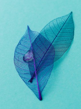 Doku, detaylar. Yaprak masanın üstünde.