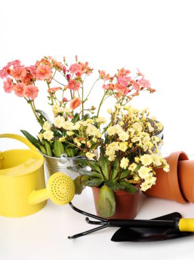 Bahçe, ekipman. Bahçe işleri için araçlar