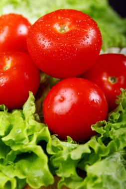 Salata yapraklarının üzerinde duran taze ve ıslak domatesler.