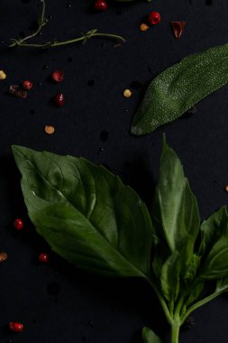 Mutfak. Masada bitkiler var.