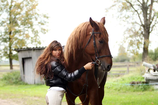 Mujer Hermoso Caballo Marrón —  Fotos de Stock