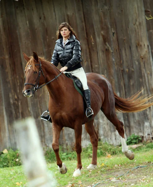 女性と彼女の美しい茶色の馬 — ストック写真