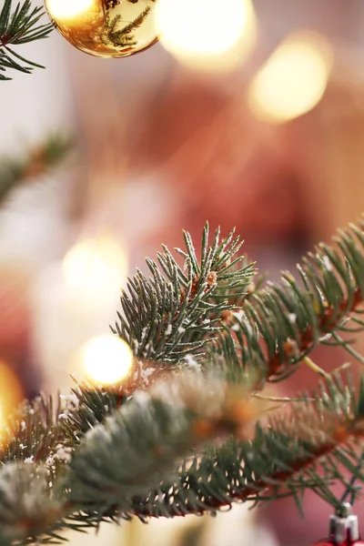 Evde Süslenmiş Noel Ağacı — Stok fotoğraf