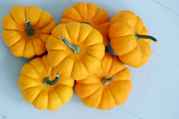 Lots Small Pumpkins White Surface — Stock Photo, Image