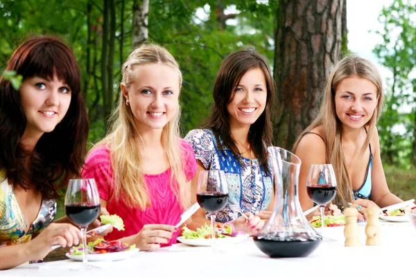 Group Beautiful Women Drinking Wine Nature Stock Image
