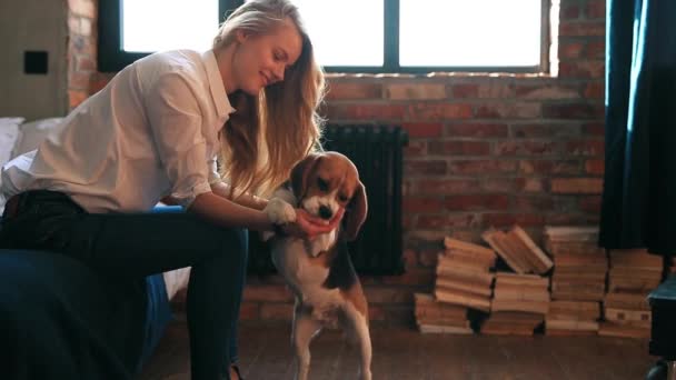 漂亮的年轻女人带着狗在家里玩 — 图库视频影像
