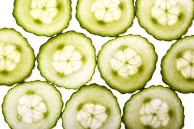 Beyaz arkaplanda yeşil salatalık