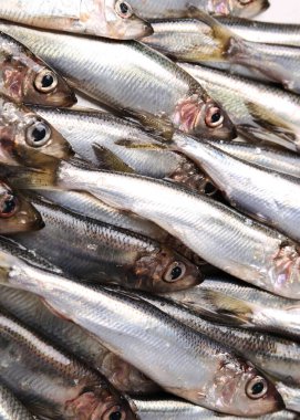 Lezzetli, masada çiğ balık.