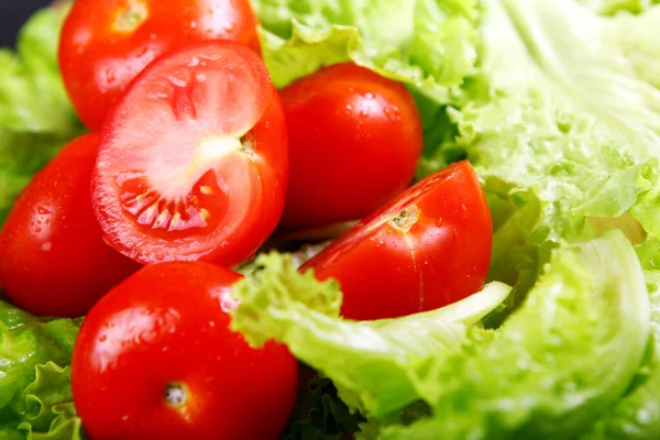 Tomates Fraîches Humides Couchées Sur Les Feuilles Salade — Photo