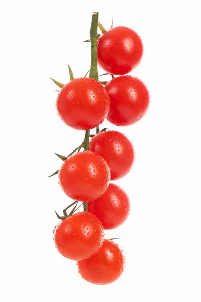 Frische Kirschtomaten Auf Einem Zweig Isoliert Über Weißem Hintergrund — Stockfoto