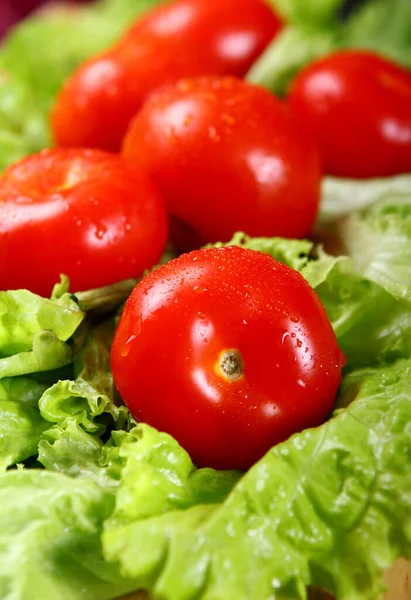 Tomates Frescos Húmedos Tumbados Sobre Las Hojas Ensalada — Foto de Stock