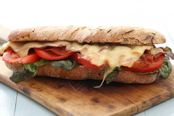 Delicioso Sándwich Largo Con Queso — Foto de Stock