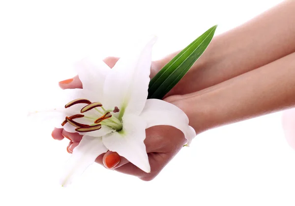 Krásná Lilie Květ Žena Ruce Přes Bílé Pozadí — Stock fotografie