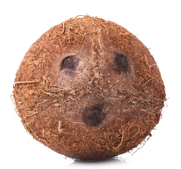 Kokosnuss Auf Weißem Hintergrund — Stockfoto