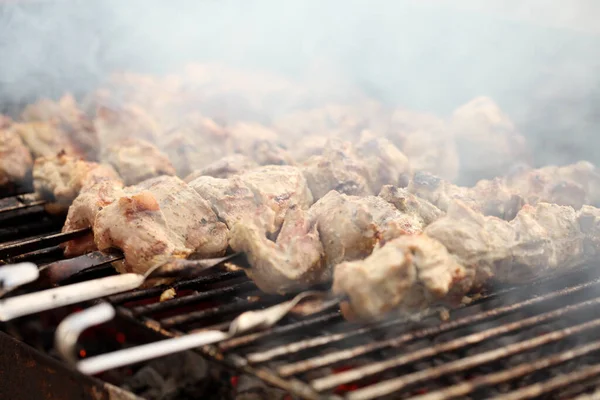 Carne Fresca Pincho Acero Humo Brasero —  Fotos de Stock